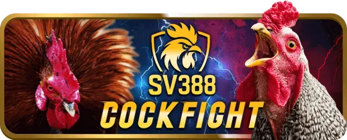 Thông tin cá nhân được SV368 thu thập